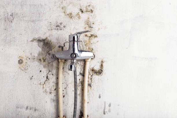 Mold Testing and Removal in Beaumont, TX