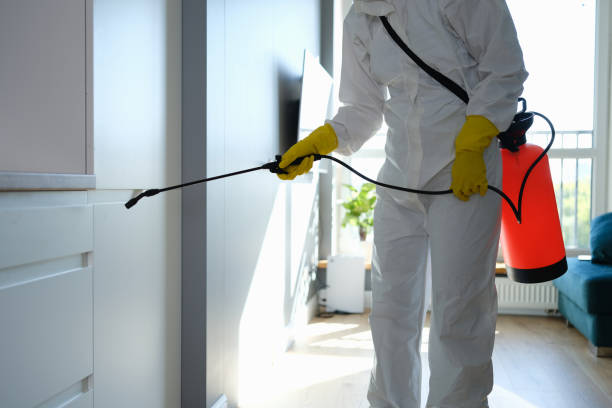 Best Residential Mold Removal  in Beaumont, TX