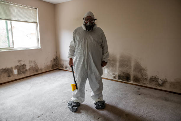 Best Home Mold Removal  in Beaumont, TX